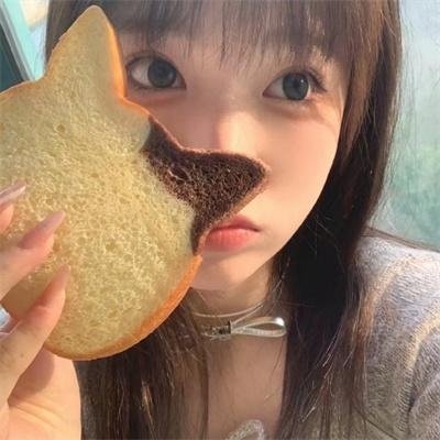疑案忠魂