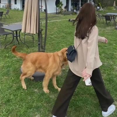 秋光乍泄